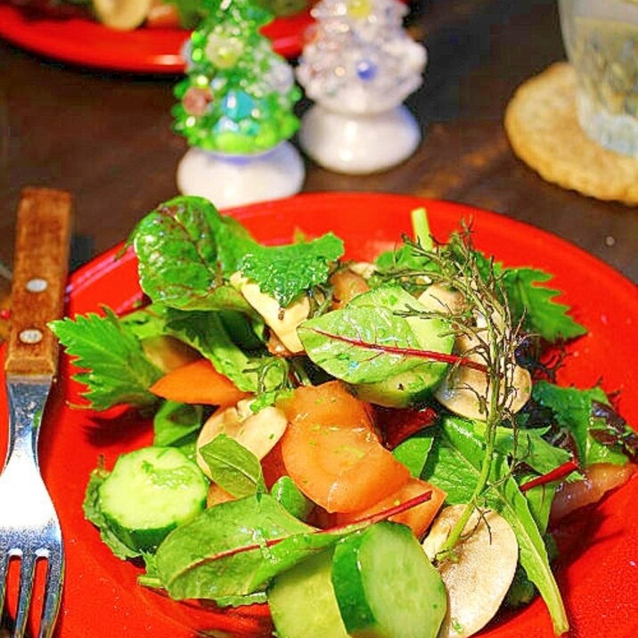 セロリドレッシング*クリスマスサラダ